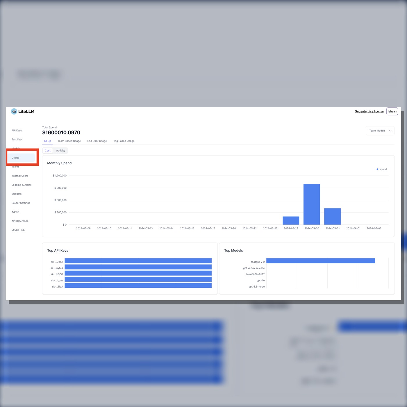 Official LiteLLM interface showing spend by model and API key on a square cover